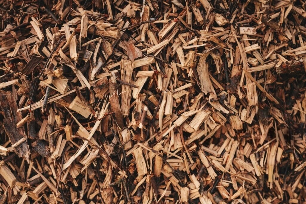 istockphoto 2207353446 2048x2048