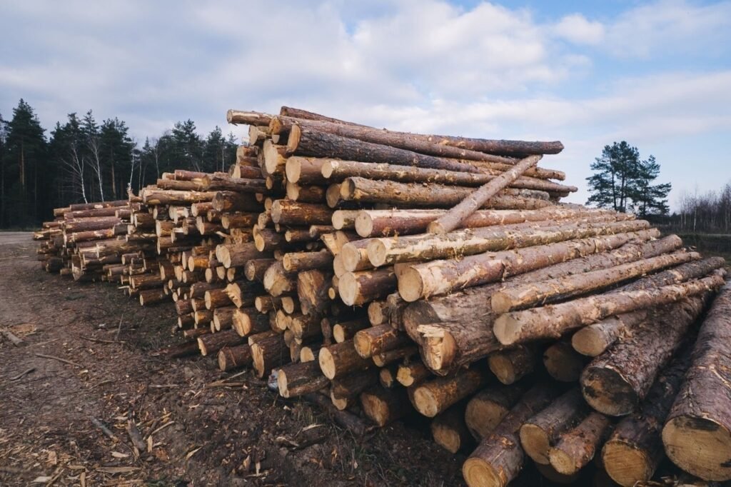 istockphoto 622323598 2048x2048